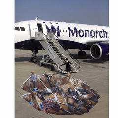 हवाई जहाज की लैंडिंग मोबाइल केस कवर