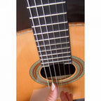 Classic Orange color Guitar String Mobile Case Cover
