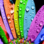 Different Color Leaves with waterdrops Mobile Case Cover